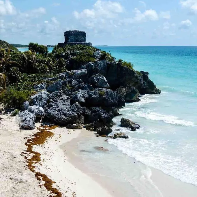 Willa Casa Ohana~3Br W/ Private Pool & Rooftop Jacuzzi, Wifi, Gym, & 5 Km To Beach Tulum