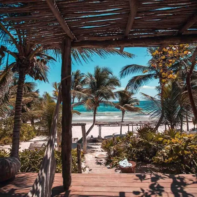 Villa Casa Ohana~3Br W/ Private Pool & Rooftop Jacuzzi, Wifi, Gym, & 5 Km To Beach Tulum Mexico